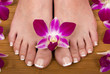 feet