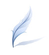 feather detailed illustration