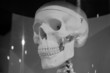 skull