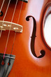 musical instruments: violin closeup showing the br