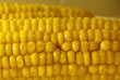 corn  chakra