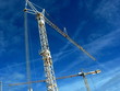 grues