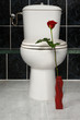 toilet hygiene