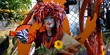 personnage masqué carnaval