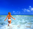 Image : joyful day in hawaii