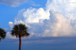 approaching storm