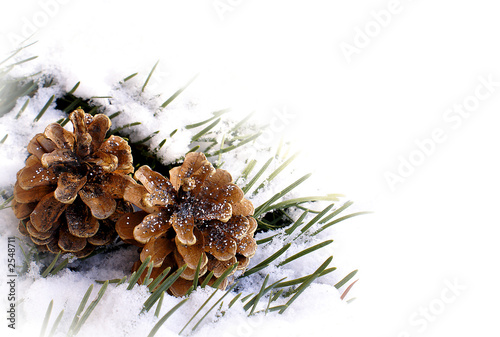 weihnachtsgrüße