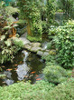 garden with koi ponds2