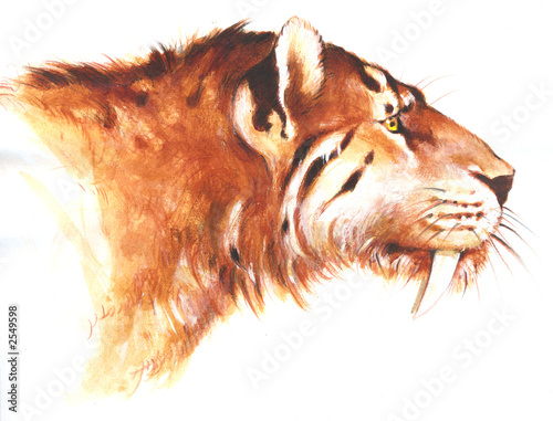 tiger, machajrodon, hoplophoneus,