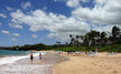 turtle beach at maui turtle beach at maui