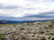 denver rockies 27