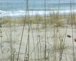 sand dune
