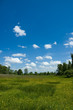 dutch landscape