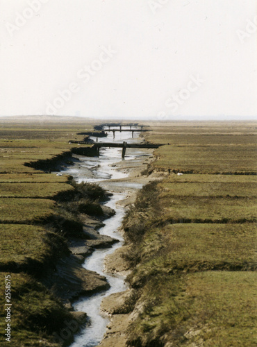 Photo: ebbe und flut ebbe und flut