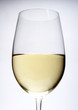 close up of white wine in glass close up of white wine in glass