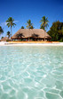 lagoon in bora bora lagoon in bora bora
