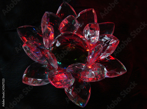 Photo: a crimson crystal lotus a crimson crystal lotus