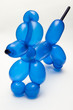 balloon dog