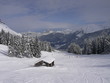chalet