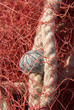 cordages et filets