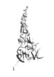 hand drawn alphabet