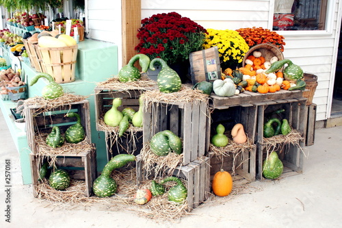 Photo: calabazas calabazas