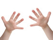 ten fingers