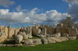hagar qim