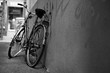 green transport