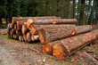 logs stacked logs stacked