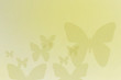 butterfly experience butterfly experience