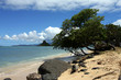 paradise beach paradise beach
