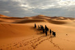 sahara -  maroc
