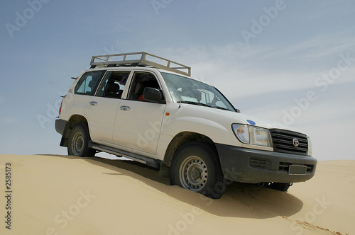 safari