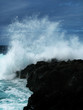 Foto: sea spray sea spray