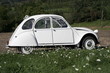 fotolia_04