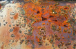 Photo: mouldy rust mouldy rust