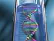 catena dna