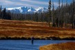 fly-fishing