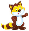 raccoon