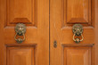 A fényképek részletei the door lion