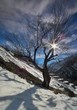 shining day