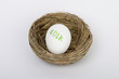 401k nest egg