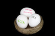 retirement nest makeup
