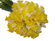 un bouquet de jonquilles