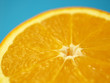 zesty contrast