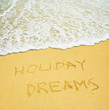 holiday dreams
