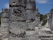columns 7 columns 7