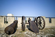santo domingo dominican republic cannons on las da