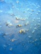 frosty glass